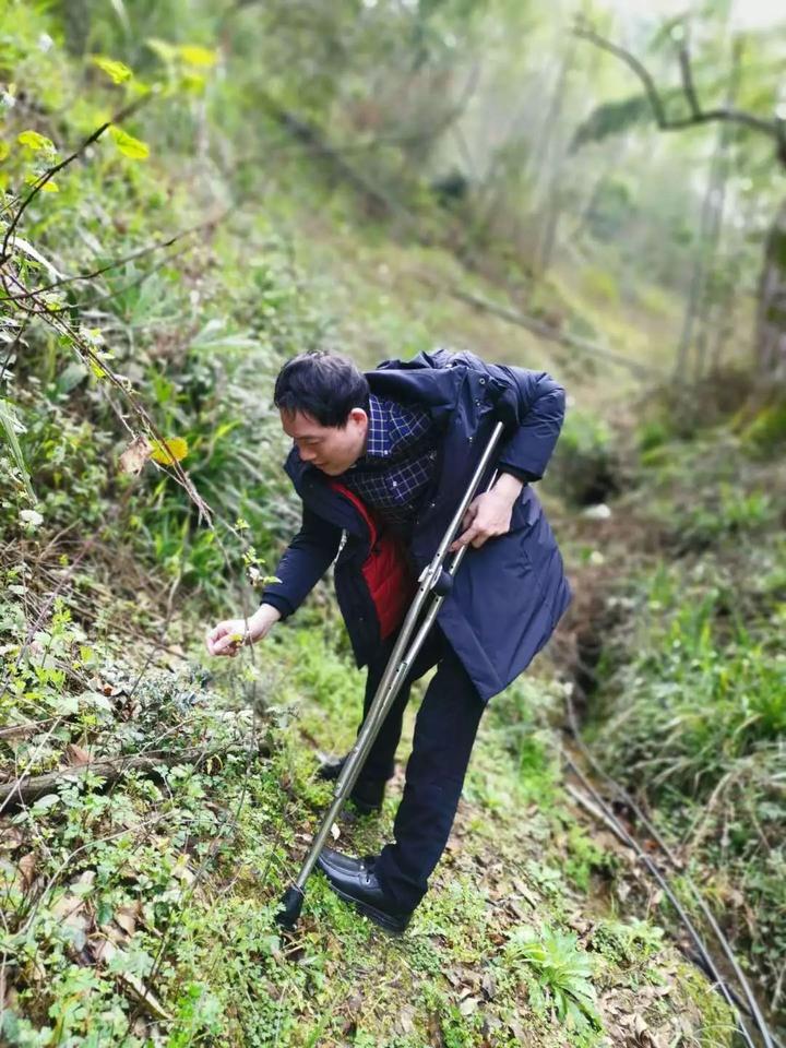 继“007”之后《比得兔2》宣布推迟全球公映_BJL平台集团(图3) BJL平台