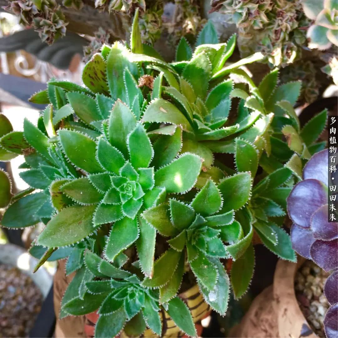 BJL平台_题綦毋校书别业(图3) BJL平台