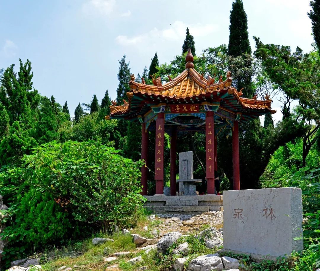 《沉默的证人》又改档？原定8月2日改至8月16日‘BJL平台