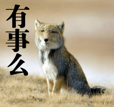 “BJL平台”不思议迷宫3.21正式服&渠道服更新维护公告