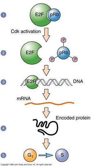 【BJL平台集团】DC《小丑》北美票房破纪录登顶 是今年开画